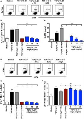 Monomeric Immunoglobulin A from Plasma Inhibits Human Th17 Responses In Vitro Independent of FcαRI and DC-SIGN